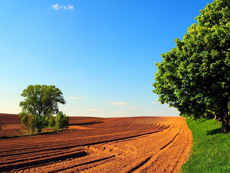 Yüzde 25 peşinat ve 48 ay vade fırsatı sunuldu: TOKİ 25 ilde arsaları satışa çıkardı