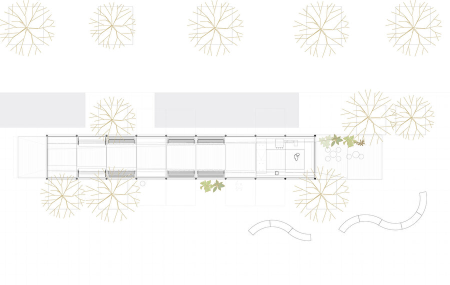 Day and Night Park Plan. 