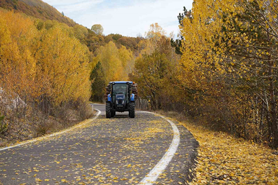 Kasım ayı geldi yapraklar sarıya büründü