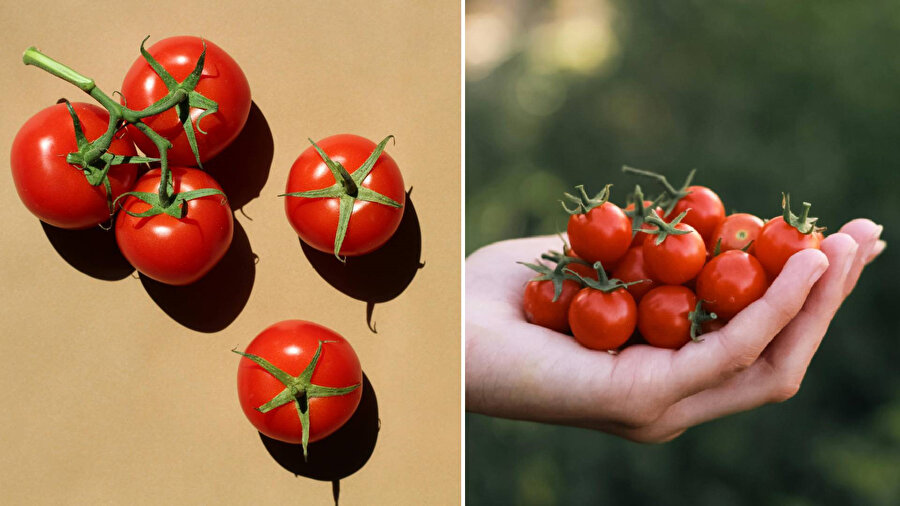 ​Çeri domates sigara bırakmayı kolaylaştırıyor mu?