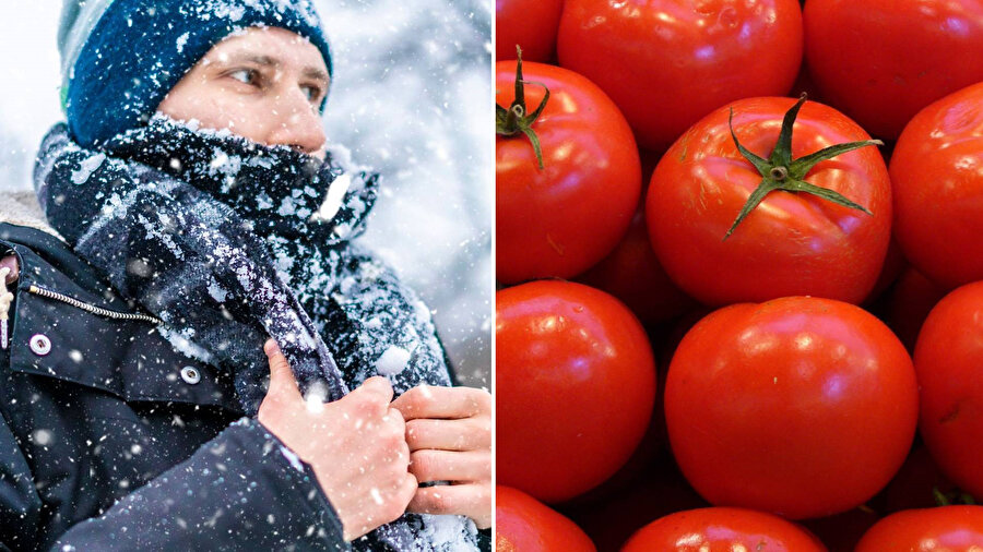Soğuk hava hal fiyatlarına yansıdı.