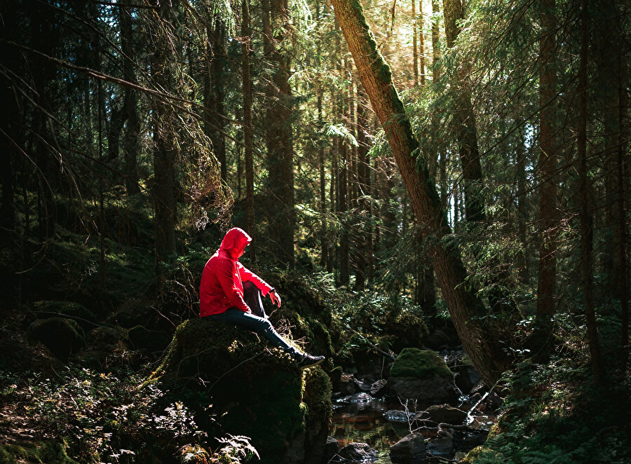 Eski bir Japon geleneği orman banyosu.