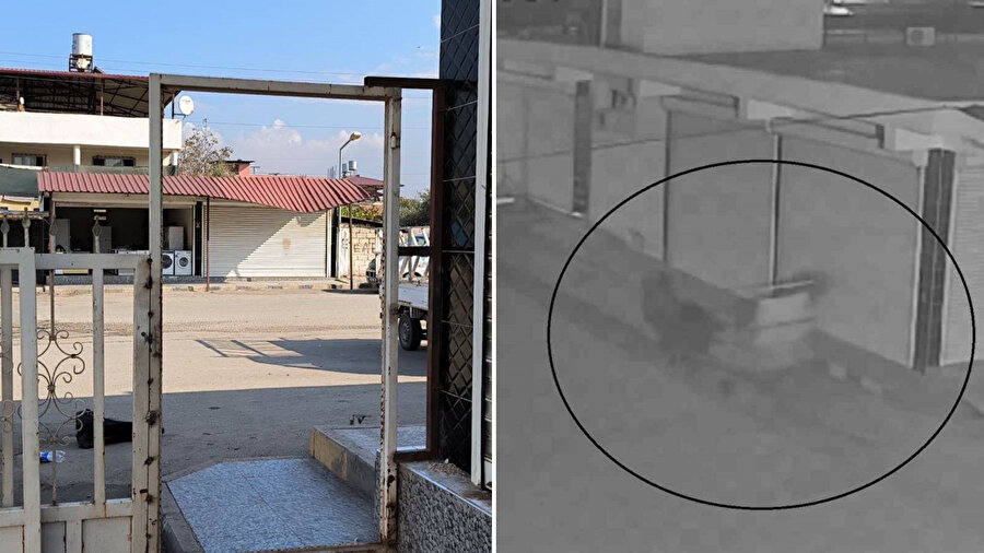 Hırsızlar at arabasıyla gelip sitenin kapısını çaldılar.