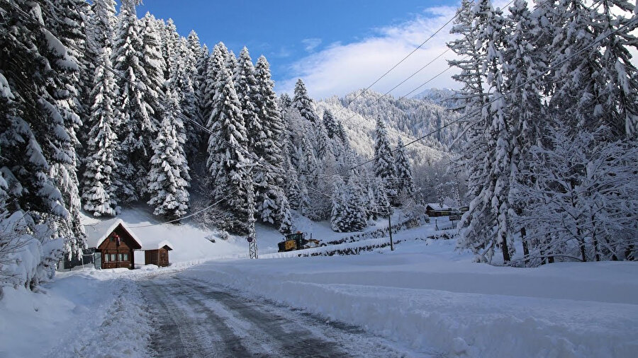 MGM, Rize, Artvin ve Ardahan için 'sarı' kodlu uyarıda bulundu.