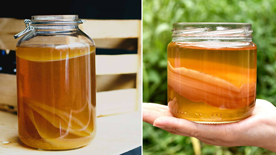 Sağlıklı beslenme trendinin yeni gözdesi: Kombucha çayı