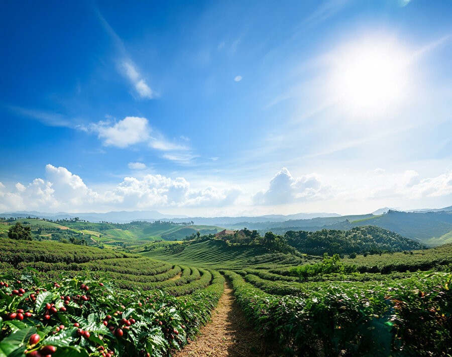 Boğucu globalizmin etkisine rağmen Vietnam’ın hâlâ bir ruhu var.