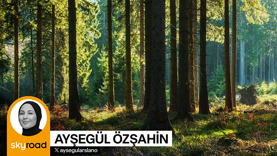 Yalnızlıkla mücadelede doğanın iyileştirici gücü