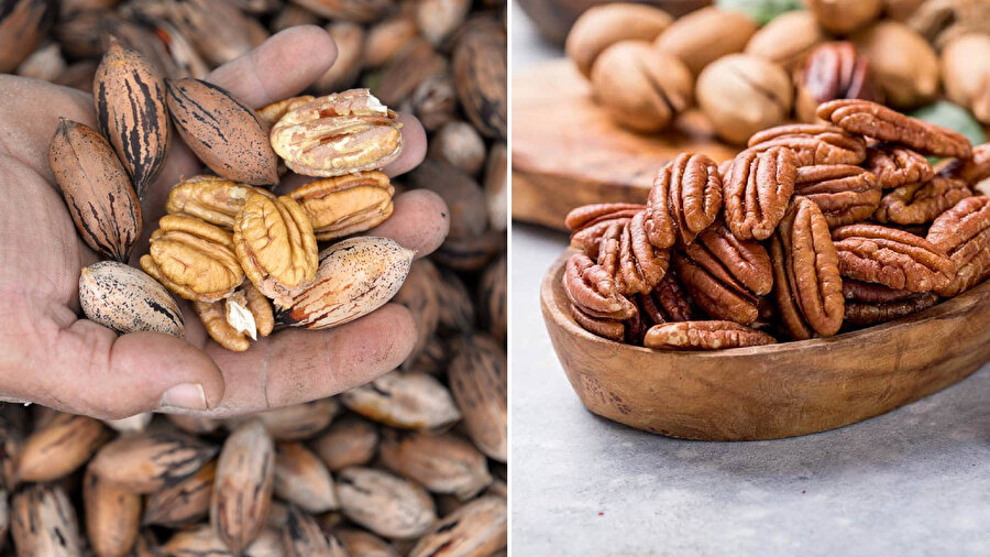 Son zamanların gözdesi: Pikan cevizi