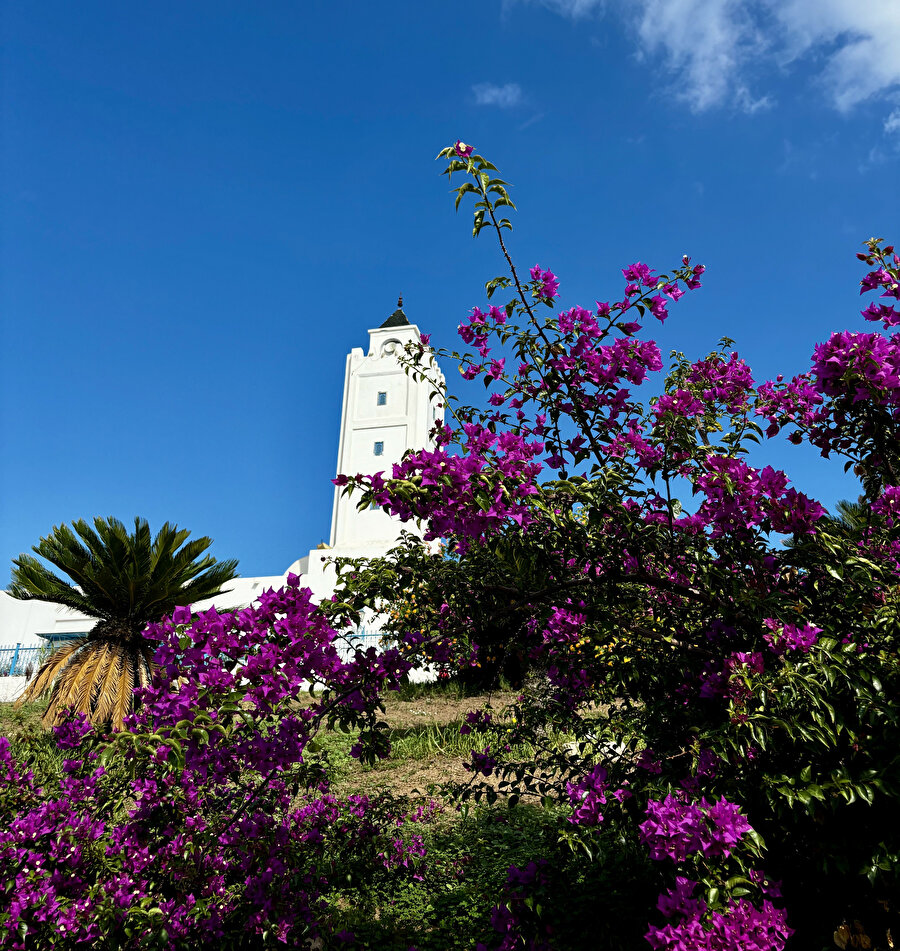 El-Gufrane Camii / Sidi Bou Said.