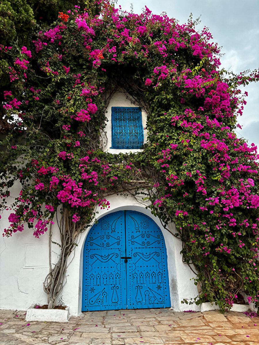 Sidi Bou Said’in işlemeli kapıları ve begonviller.