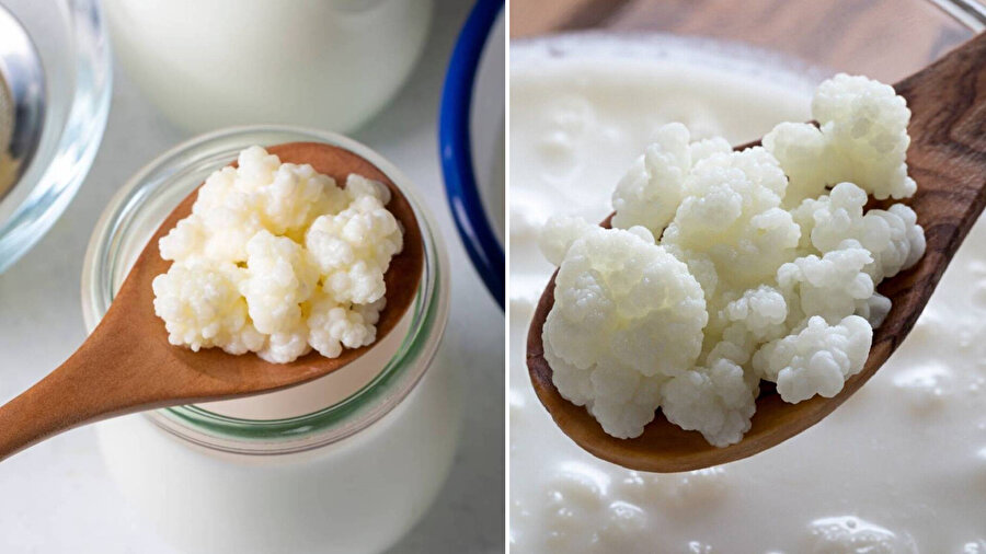 Kefir hakkında merak edilen her şey
