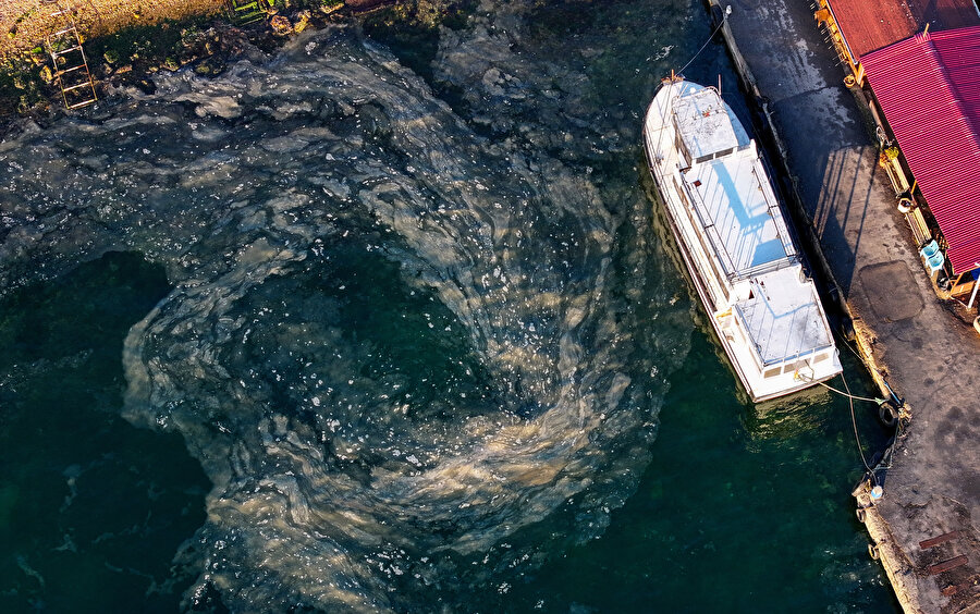 Marmara Denizi'nde müsilaj giderek artıyor