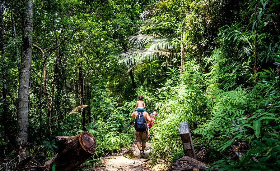Penang Ulusal Parkı.