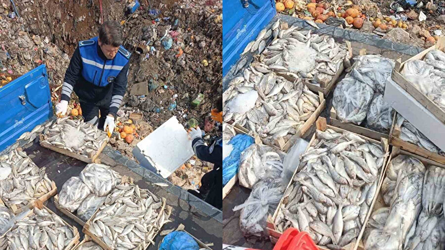 Tarsus’ta 16 kasa balık imha edildi