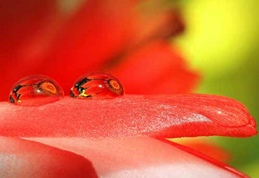 Gary Yost / Unsplash