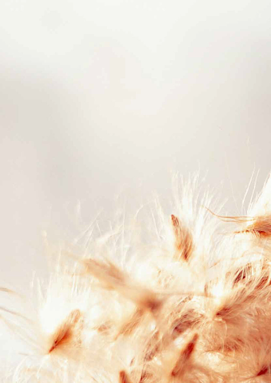 Laura Adai / Unsplash