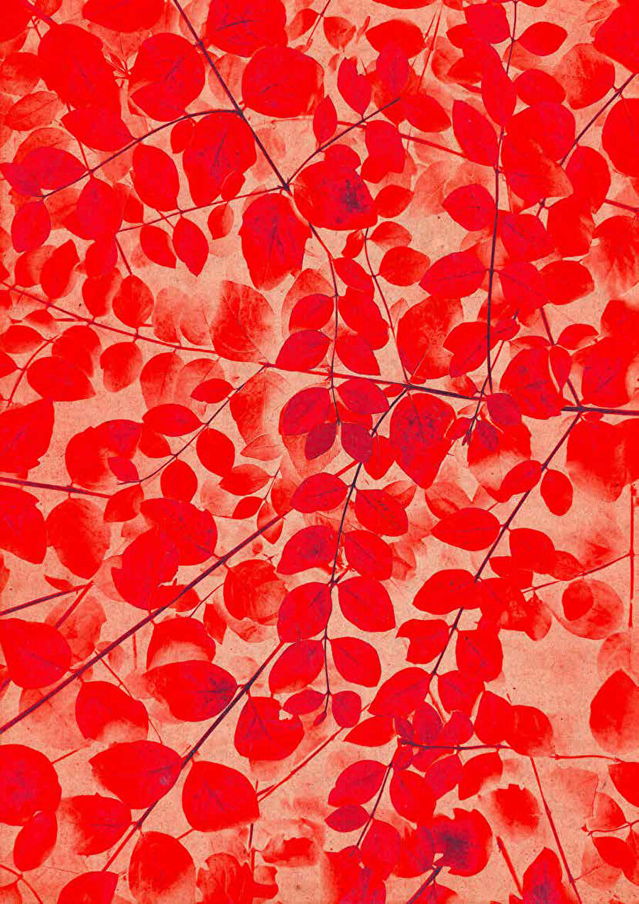 Mike Hindle / Unsplash