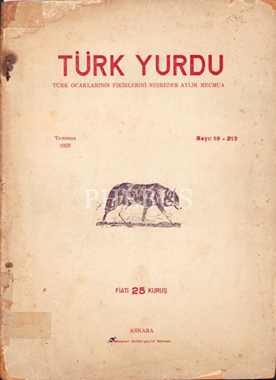 Türk Yurdu.