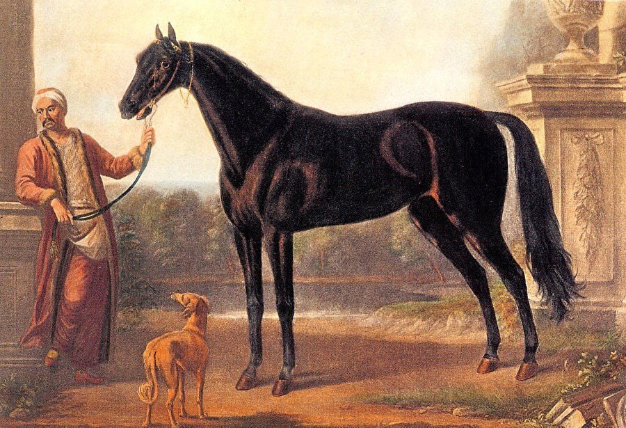 Atı iyi kullanabilen topluluklar dünyaya egemen olmuş; Roma ve Osmanlı imparatorluklarının üç kıtaya yayılması at sayesinde gerçekleşmiştir.