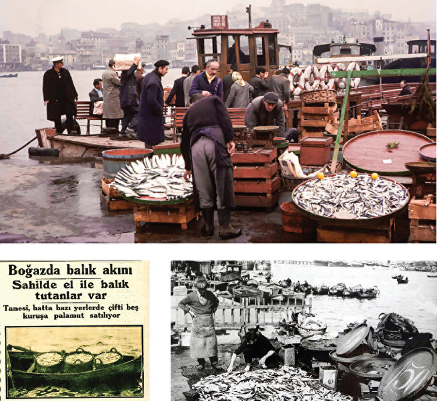 Türk toplumunun her ne kadar balık toplumu olmadığından söz edilse de tarih bunun aksini söylüyor.