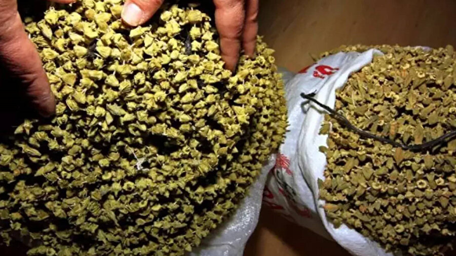 Fiyatı gram altını geçti: Gece bile satılıyor