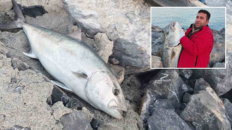 İki balığı 18 bin TL’ye satan amatör balıkçı: Psikolojimi düzeltti