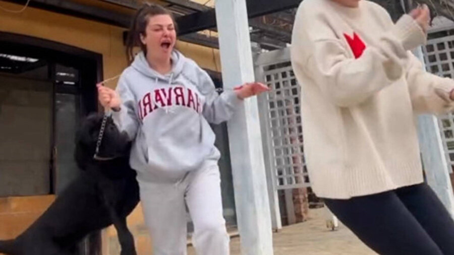 Sinem Umaş isimli fenomen, evinde beslediği cins köpeğin saldırısına uğradı.