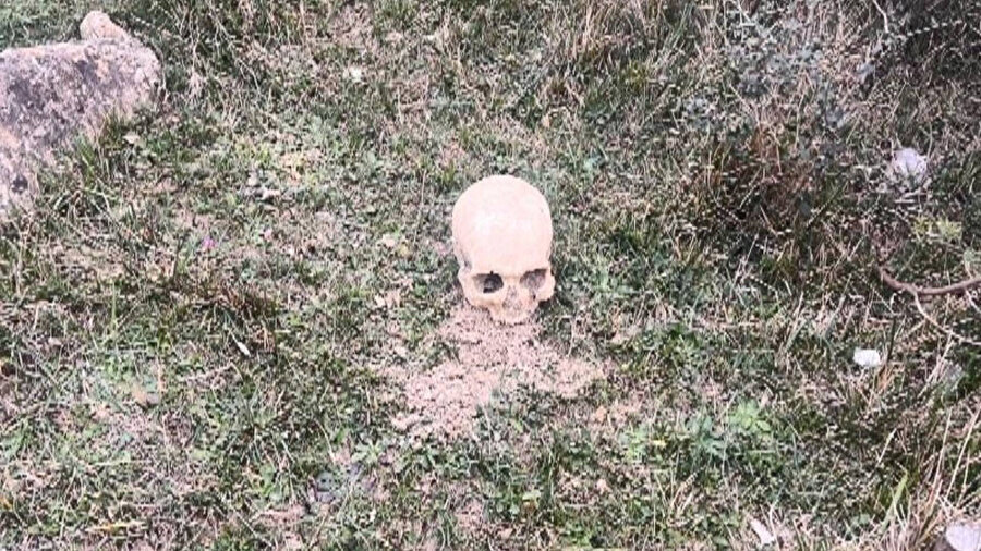 ​Arnavutköy'de insana ait kafatası bulundu: Ekipler harekete geçti