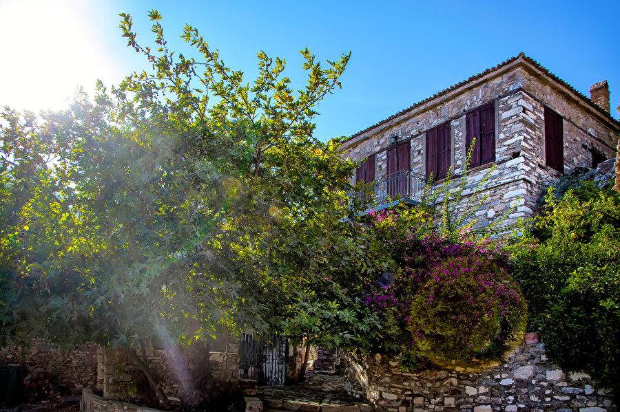 Doğanbey Köyü (Söke).