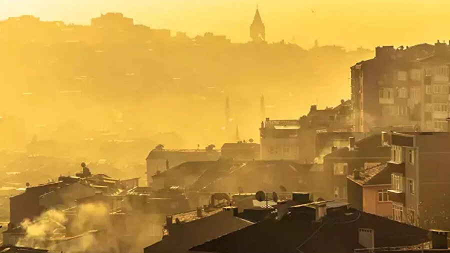 Arşiv