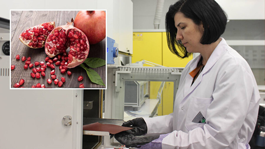 Nar kabuğu atıkları: Hayvansal deriye alternatif oluyor