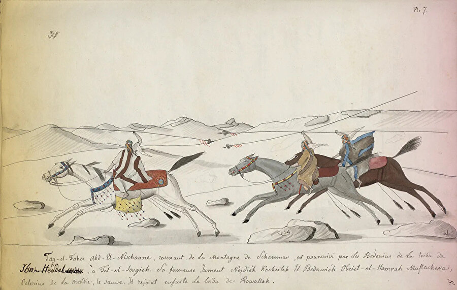 Sur les Chevaux Orientaux et Provenant des Races Orientales (Doğu Atları ve Doğu Irklarından Atlar Üzerine) kitabından çizimler.