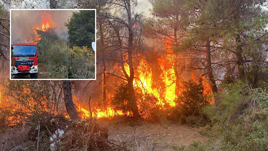 Çanakkale'de orman yangınına sebep olan 2 kardeşe milyonluk ceza