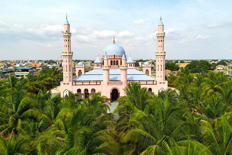 Senegal'in rengarenk camileri