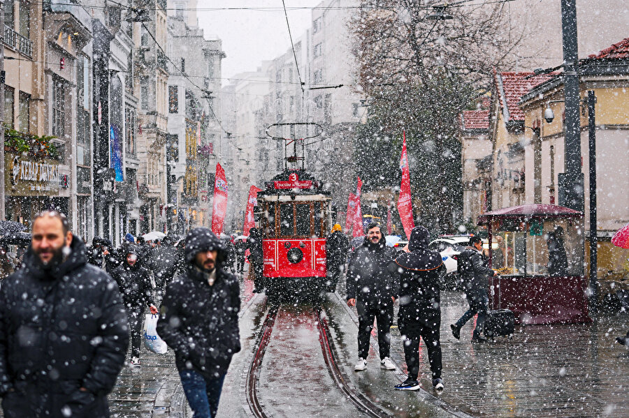 Rakamların dili