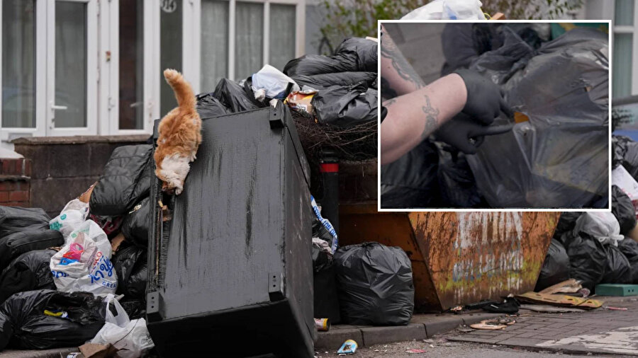 ​İngiltere sokaklarını kemirgenler bastı