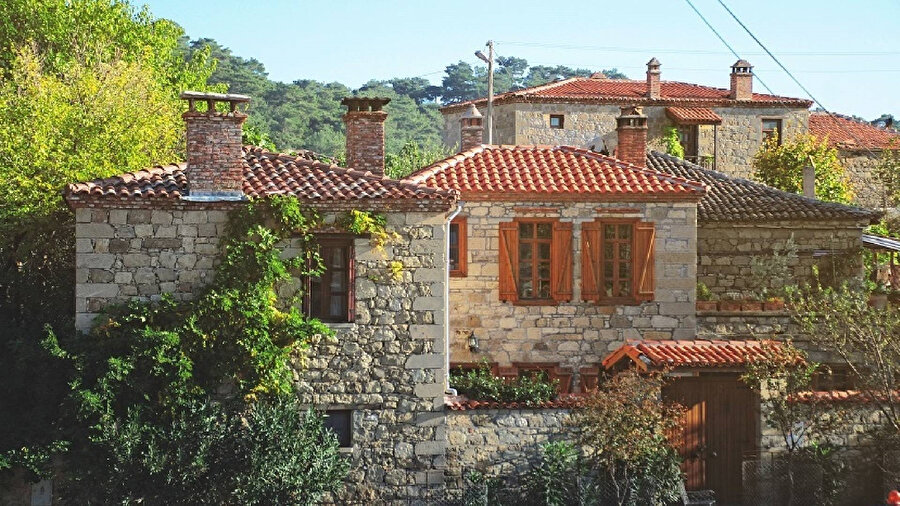 Arşiv