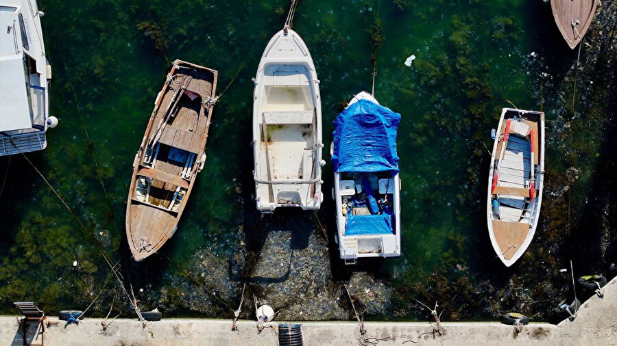 Kabus geri döndü: İstanbul'da müsilaj yeniden görüldü