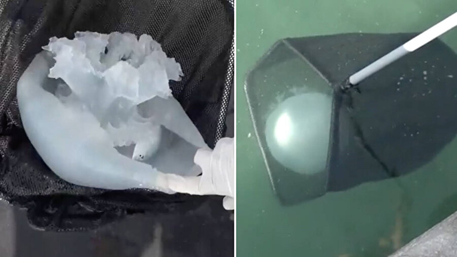 Profesörden kritik uyarı: İnsan sağlığını tehdit ediyor