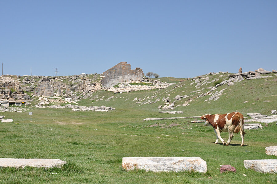 Aizanoi Antik Kenti | Çavdarhisar, Kütahya, Türkiye | 2024.