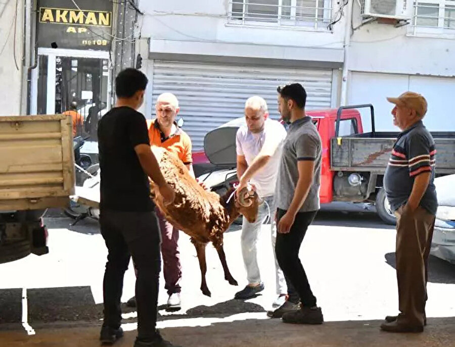 Kurbanlık fiyatları belli oldu: İşte illere göre fiyatlar