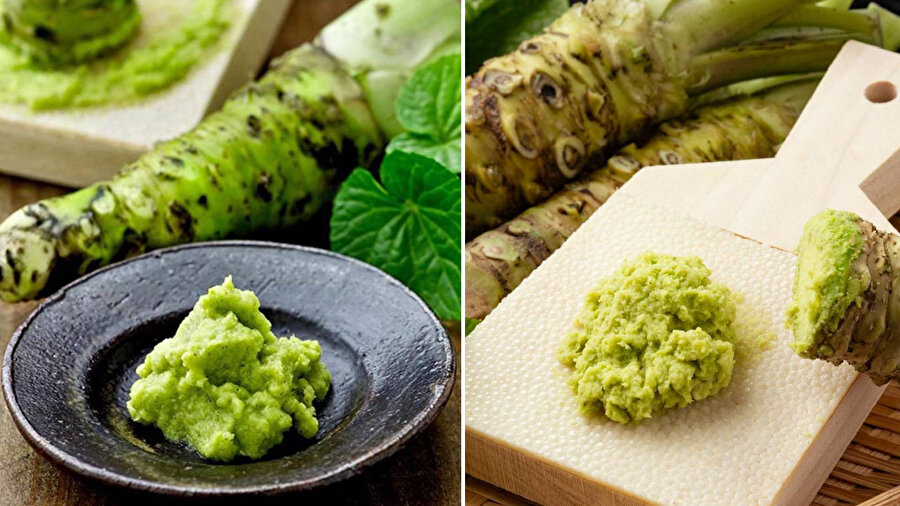 ​Wasabi bitki mi yoksa bir karışım mı?