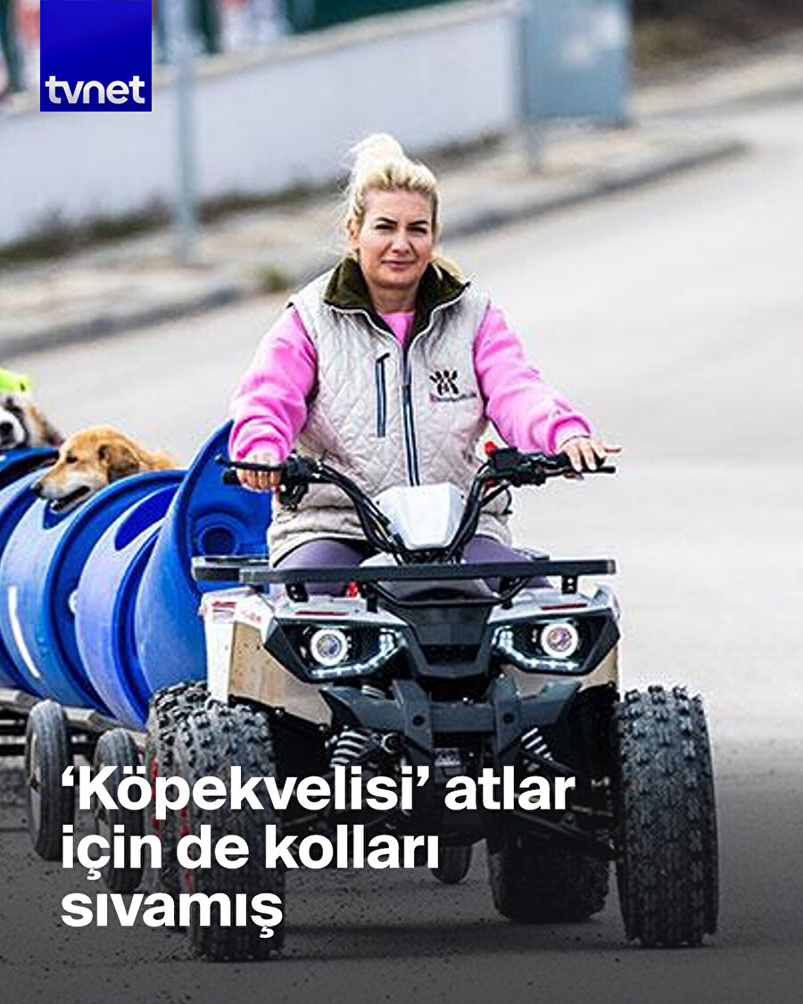 ‘Hayvansever’ Özgünlü’nün bağışlarla yaptıkları