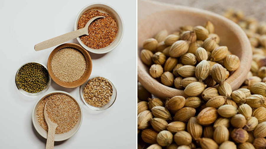 Vücudu toksinlerden temizlemeye destek olabilecek tohumlar nelerdir?