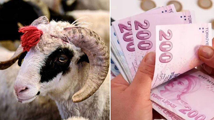 Kurban Bayramı emekli ikramiyesi ne zaman yatacak? 2025 Kurban Bayramı ikramiyesi ne kadar?