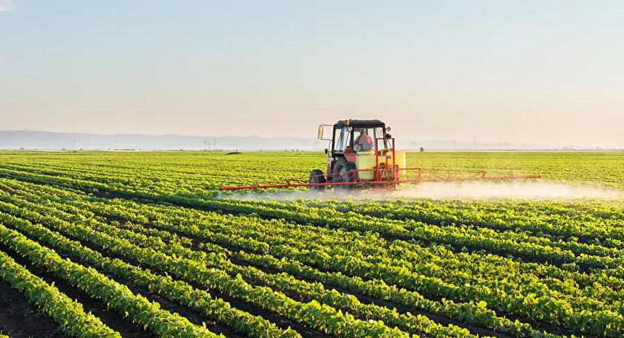 Dünyanın en büyük tarım ülkeleri belli oldu: Türkiye kaçıncı sırada?