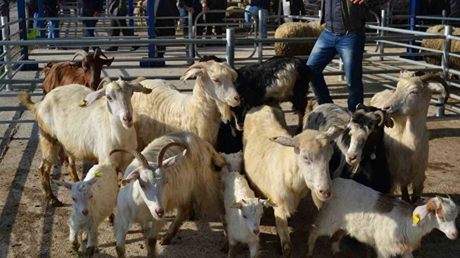 ​Balıkesir'de alarm: 15 mahalle karantinaya alındı