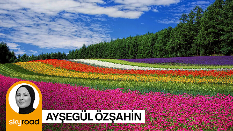 Bahar rotası: Avrupa'nın çiçek durakları