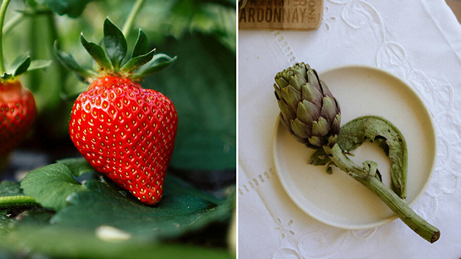 Bahar yorgunluğunu atmanıza yardımcı olacak 7 besin