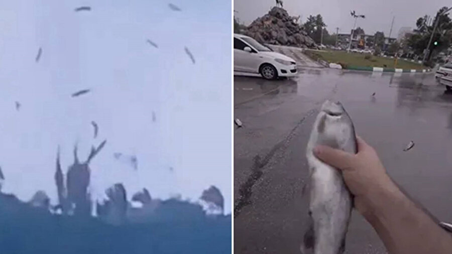 ​Gökyüzünden balık yağdı.